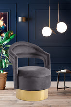 Load image into Gallery viewer, Petrona Grey Velvet Accent Chair