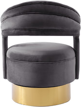 Load image into Gallery viewer, Petrona Grey Velvet Accent Chair