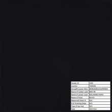 Load image into Gallery viewer, Transitional Black Shoe Rack
