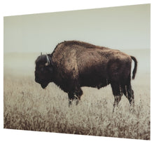 Load image into Gallery viewer, Brutus Wall Art