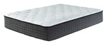 Load image into Gallery viewer, Anniversary Edition Plush Twin Xtra Long Mattress