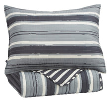 Load image into Gallery viewer, Merlin 2-Piece Twin Coverlet Set
