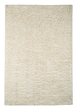 Load image into Gallery viewer, Alonso 5 x 7 Rug