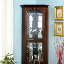 Load image into Gallery viewer, ORTLEY Curio