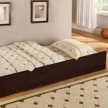Load image into Gallery viewer, Arizona Twin/Full Bunk Bed, Dark Walnut Finish