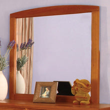 Load image into Gallery viewer, Omnus Mirror